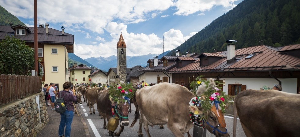 Foto di Mauro Mariotti Festa dell'Agricoltura in Val di Peio: sette giorni per riscoprire i mestieri di montagna
